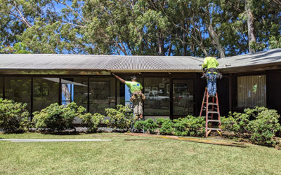 Gutter & Deck Project