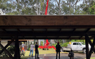 Tree Trimming