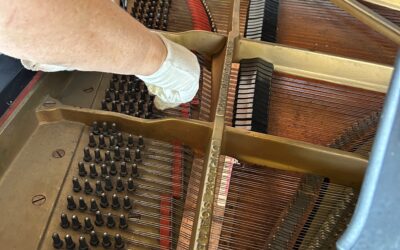 Steinway Maintenance